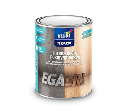 Slika Tessarol EGALIN PB RAL 9006 srebrna 0,75
