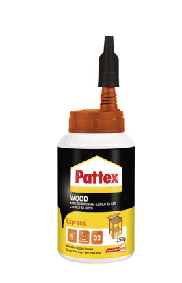 Slika Pattex express(Wood) 250g