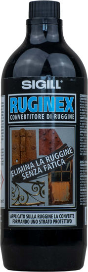 Slika Ruginex konvertor korozije 750ml